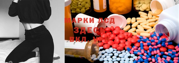 хмурый Богданович