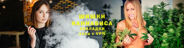 крисы Богородск