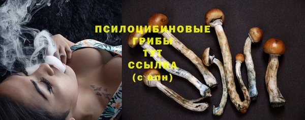 соль курить ск Богородицк
